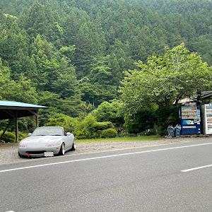 ロードスター NA8C