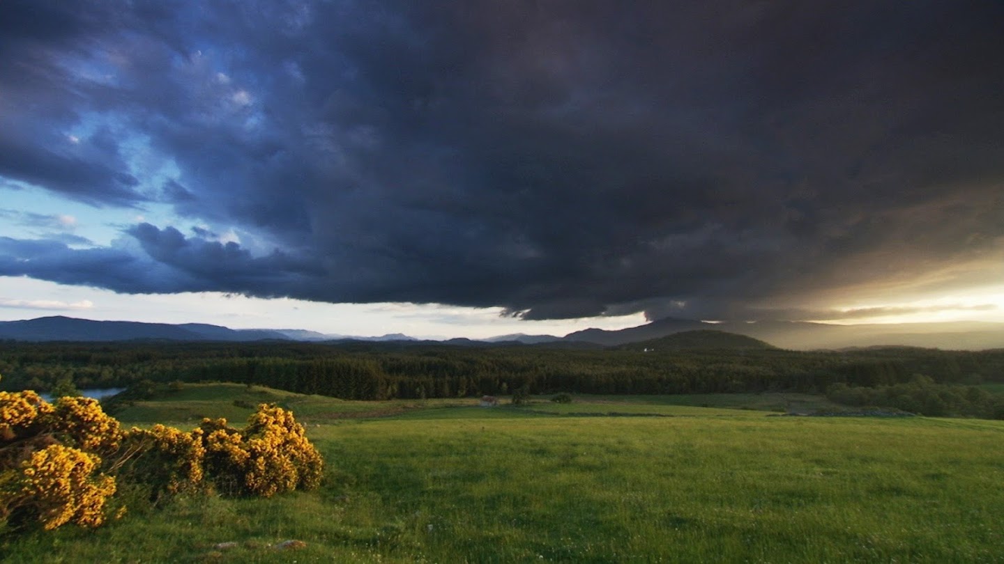 Wild Scotland