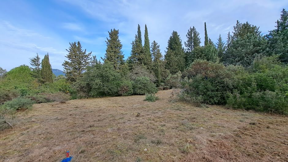 Vente terrain  610 m² à Le Triadou (34270), 259 000 €