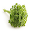 Parsley For Health Download on Windows