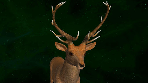 Stag 3D