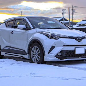 C-HR NGX50