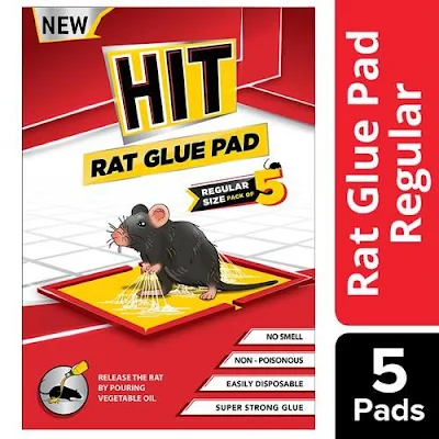 Hit Rat/Mouse Glue Pad - 1 pc