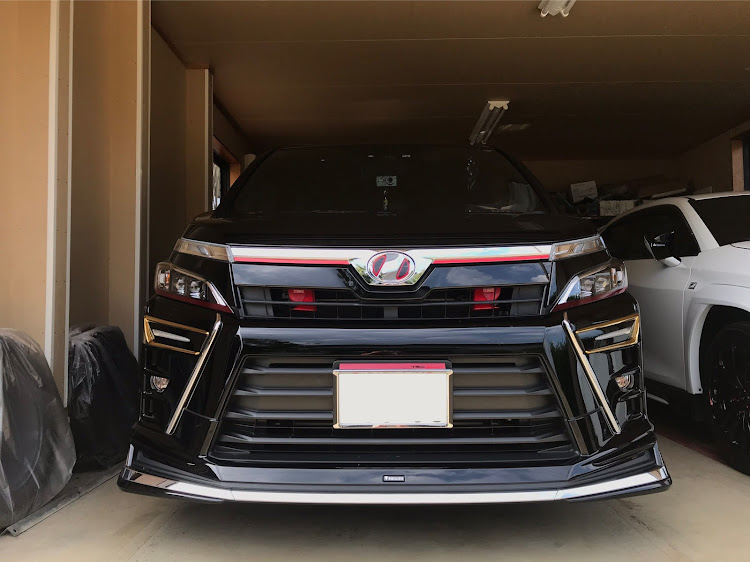 ヴォクシーのホーン塗装に関するカスタム事例の投稿画像2枚目