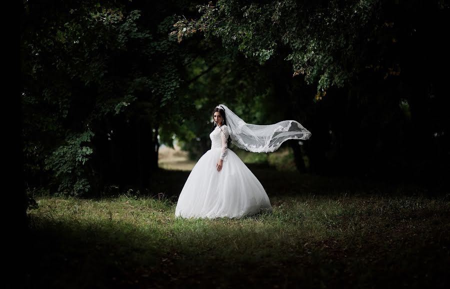 Fotógrafo de bodas Dmitriy Burcev (burcevfoto). Foto del 24 de julio 2018