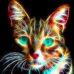 Cover Image of Download Neon wallpapers – neon animals – neon flowers 1.0.1.6 APK