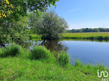 terrain à Pernay (37)