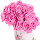 Rose Flowers Images FullHD New Tab Wallpapers