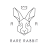 Rare Rabbit icon