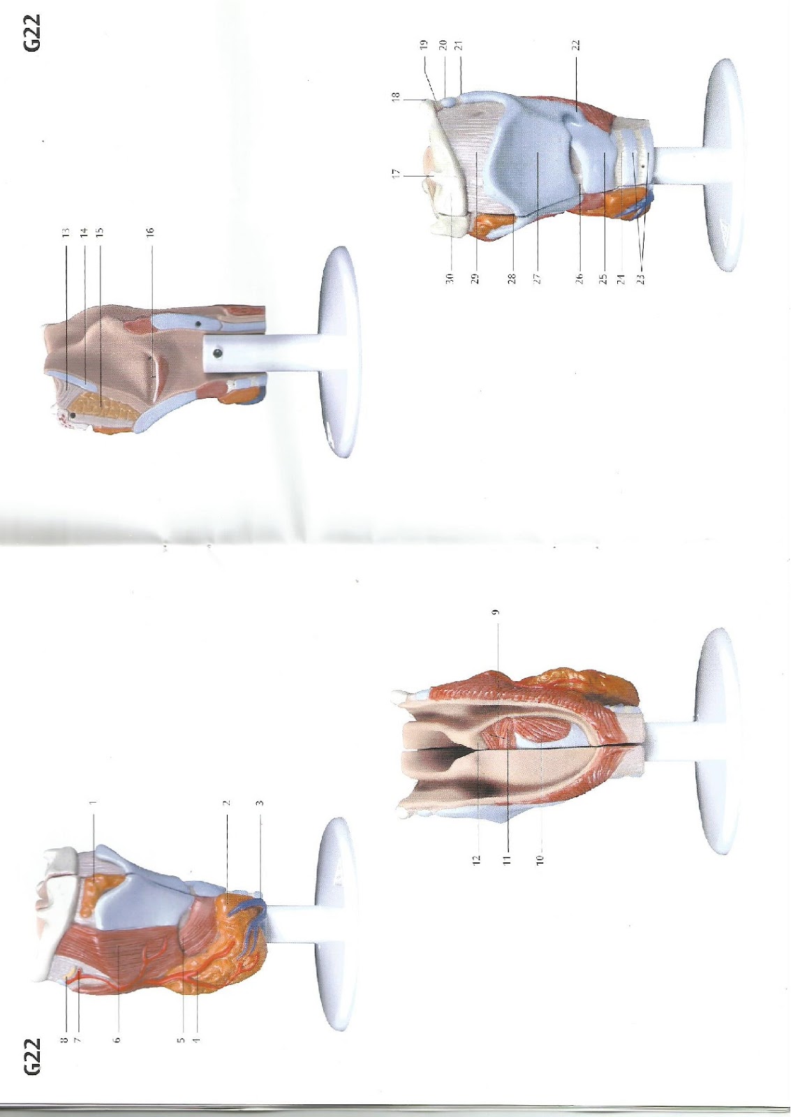 manuaisequiposPDF-015.jpg