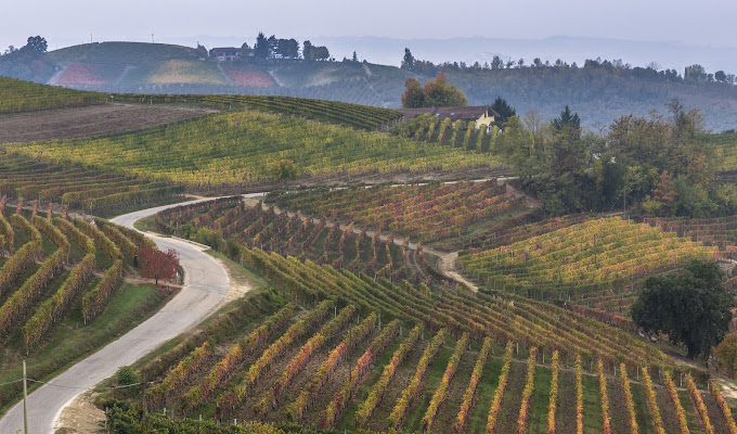 Autunno nelle Langhe di Stefy27