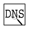 Item logo image for DNS INFO