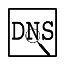 DNS INFO