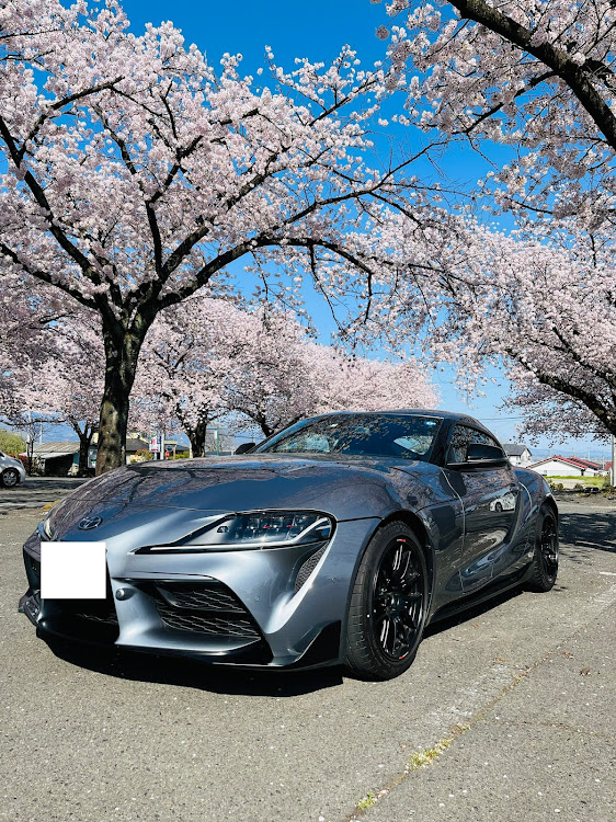 スープラの桜とコラボ🌸に関するカスタム事例の投稿画像1枚目