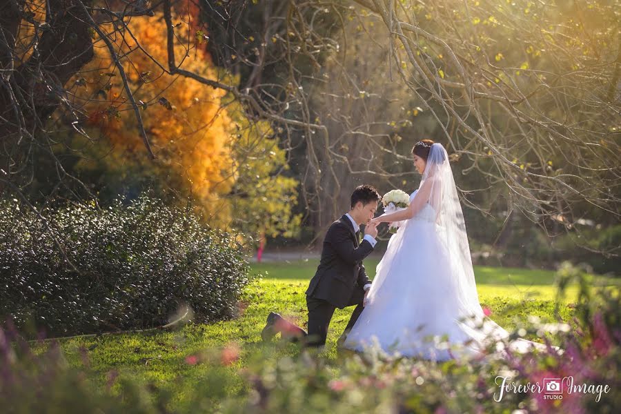 Fotógrafo de bodas Vanessa Nguyen (vanessanguyen). Foto del 28 de enero 2019