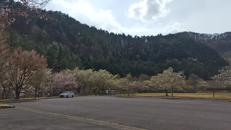 カローラフィールダーの納車から8年になりました・歴代車で1番修理代掛かってる・桜もあっという間に散りました・修理はどうなるか・載せ替え必要なったら捨てますに関するカスタム事例の投稿画像13枚目