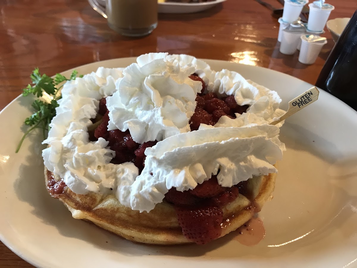 Gluten Free Belgian Waffle with Strawberries and whipped cream. AMAZING!!!!