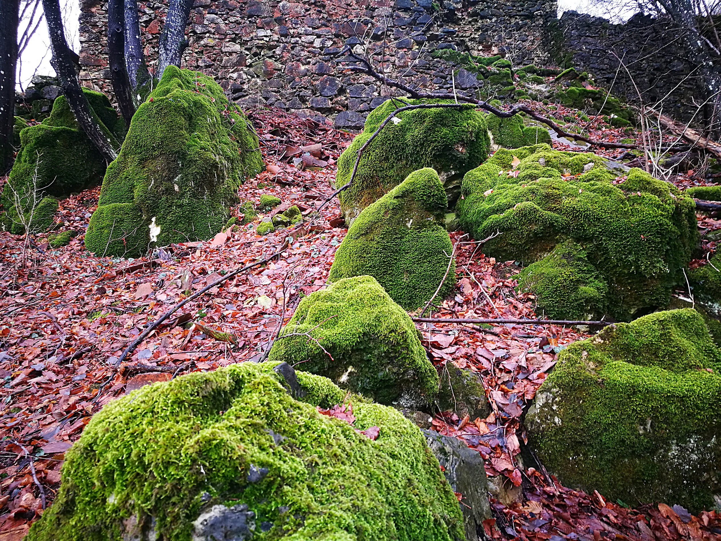 In alta montagna di danilo56