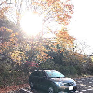 カローラフィールダー NZE164G