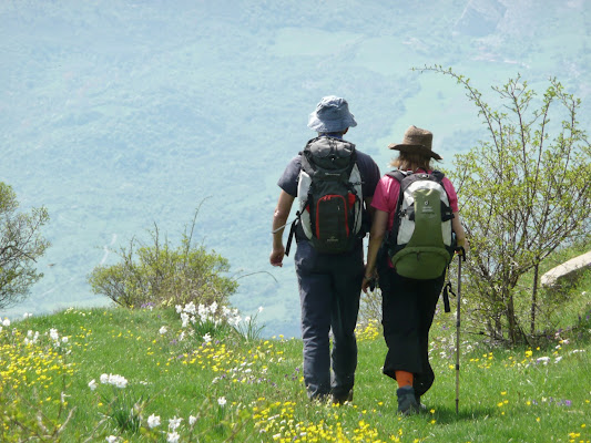 Primavera di giovannaabb