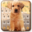 Baixar Cute Dog Labrador Instalar Mais recente APK Downloader