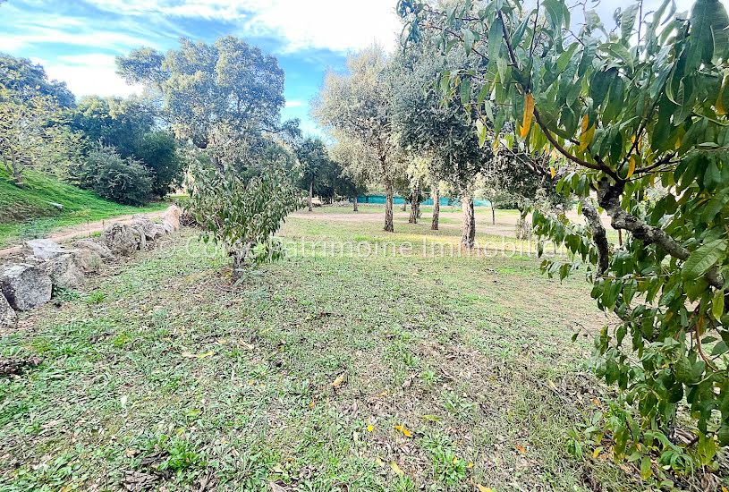  Vente Terrain à bâtir - 1 020m² à Sainte-Lucie-de-Porto-Vecchio (20144) 