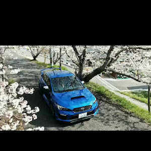 WRX STI VAB