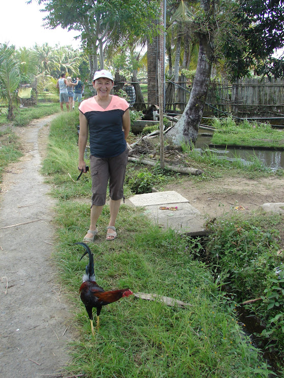 rizières ubud