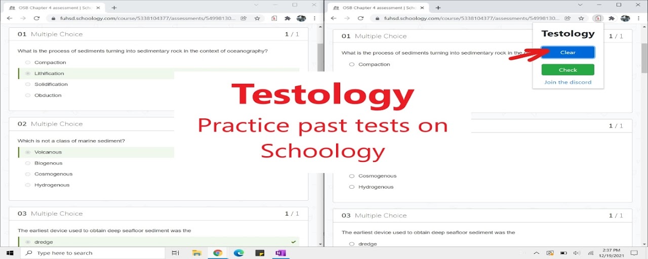 Testology Preview image 2