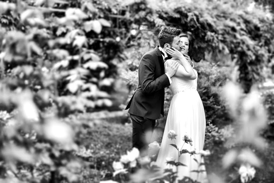 Fotografo di matrimoni Enzo Borzacchiello (ebfotografo). Foto del 16 gennaio 2017