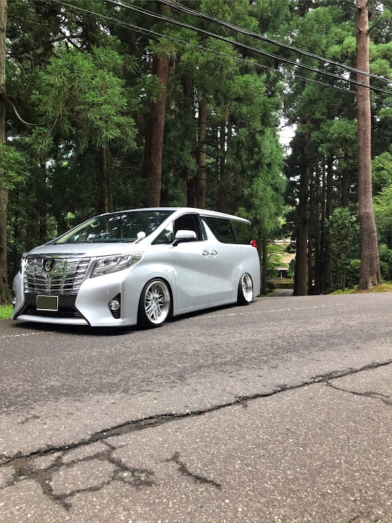 アルファードのcafe HAYASHI・森林浴📸・定期的にメンテナンスをに関するカスタム事例の投稿画像2枚目