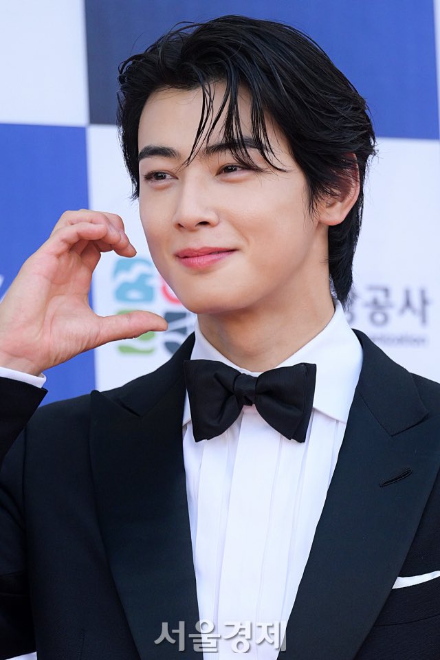 Incomparable Elegance”: Fans go wild as ASTRO's Cha Eunwoo looks dapper at  the 2nd Blue Dragon Series Awards' red carpet