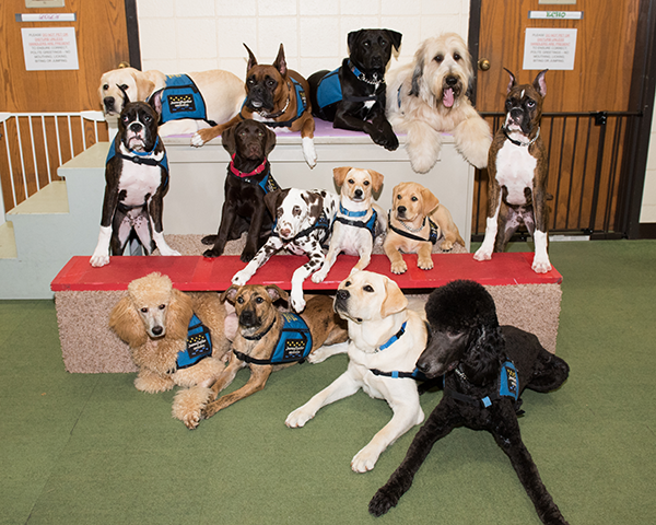 A Journey Together - University of Wisconsin School of Veterinary Medicine