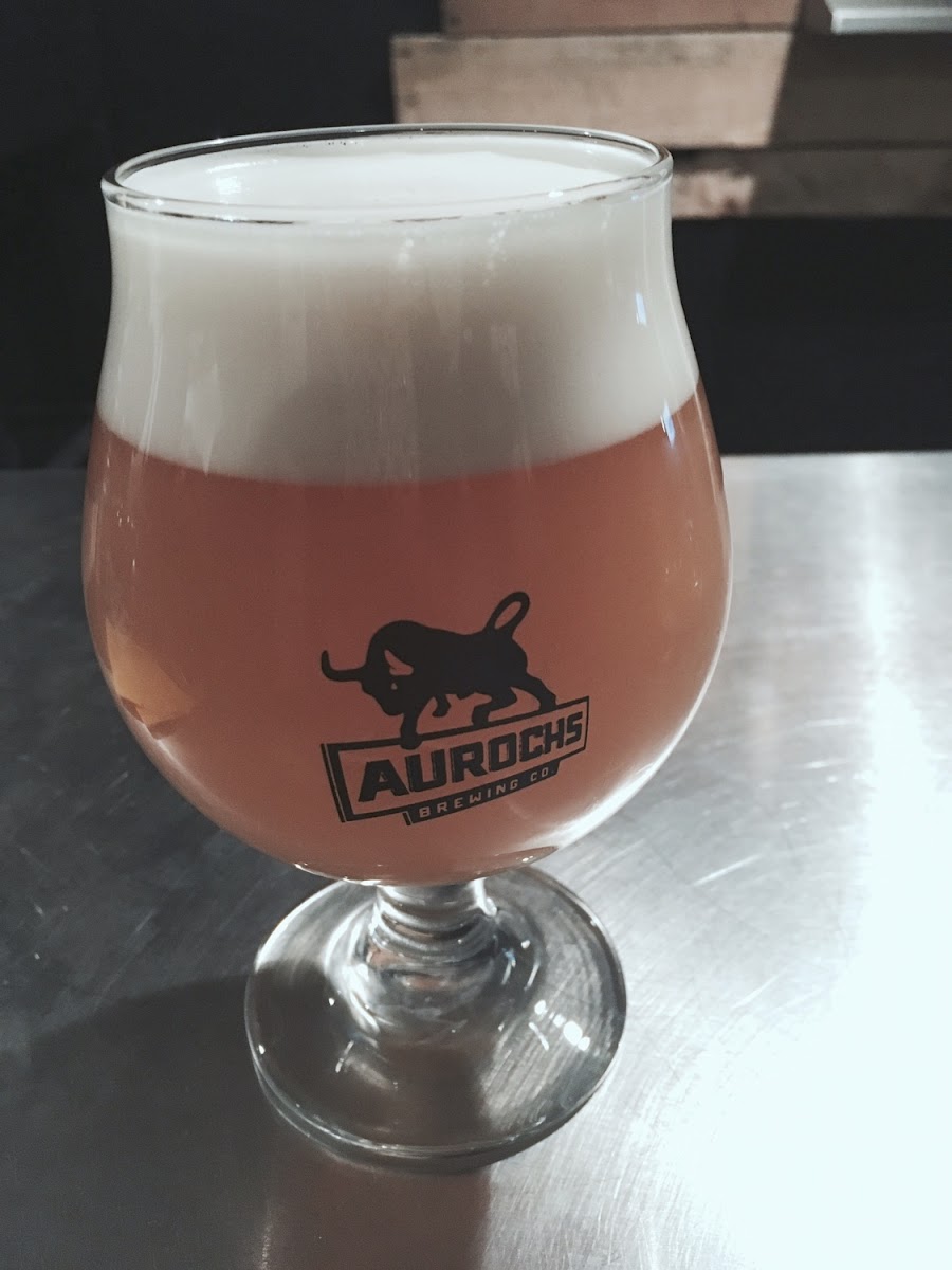 Gluten-Free at Aurochs Brewing Company