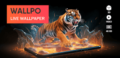 Tiger 3D Video Live Wallpaper – Apps on Google Play