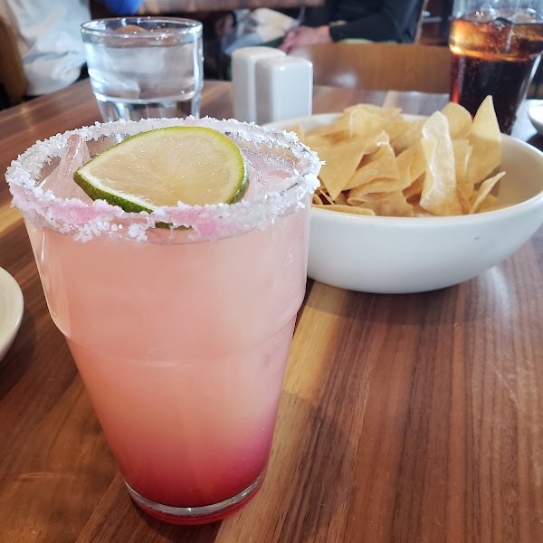 Hibiscus margarita- delightful!