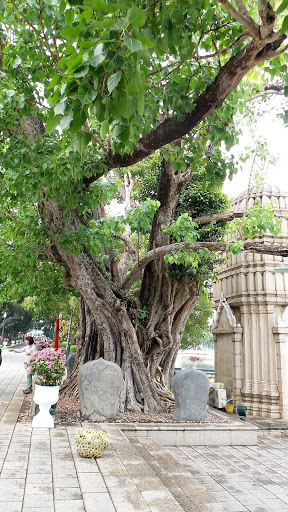 Summer Palace Thailand 2016