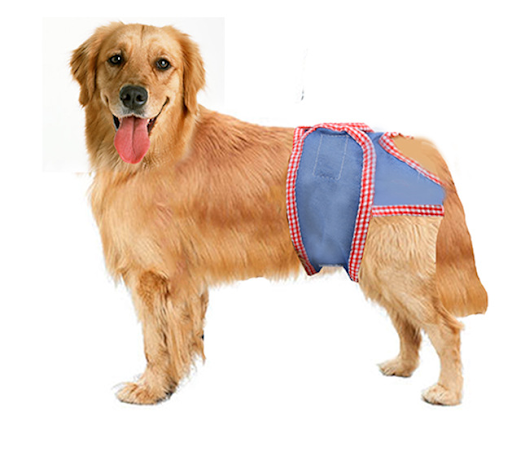Title 2, Small and Medium Dog Denim Chiffon Physiologica...
