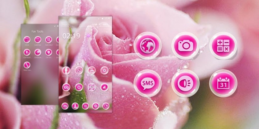 Love Rose Pink Screen 1