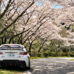 RC F USC10