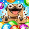 Pug Pop Bubble Shooter icon