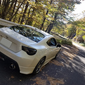 86 ZN6