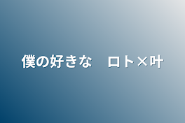 僕の好きな　ロト×叶