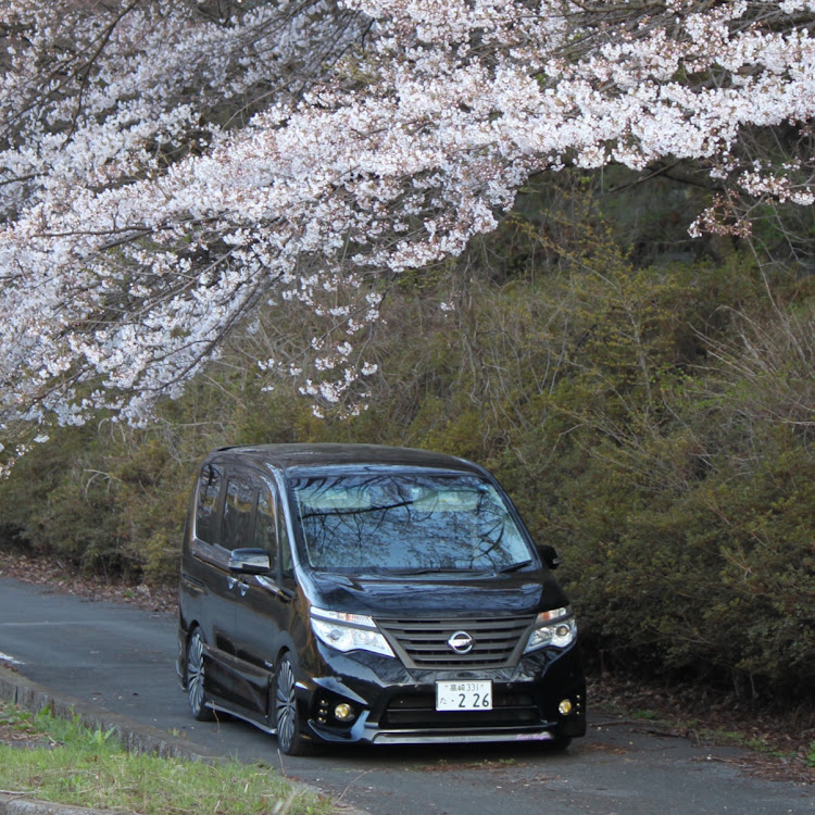 セレナのローガン・C26 SERENA OWNERS CLUB・セレナ愛好会・G.B.V・目指せPickUpCarsに関するカスタム事例の投稿画像6枚目
