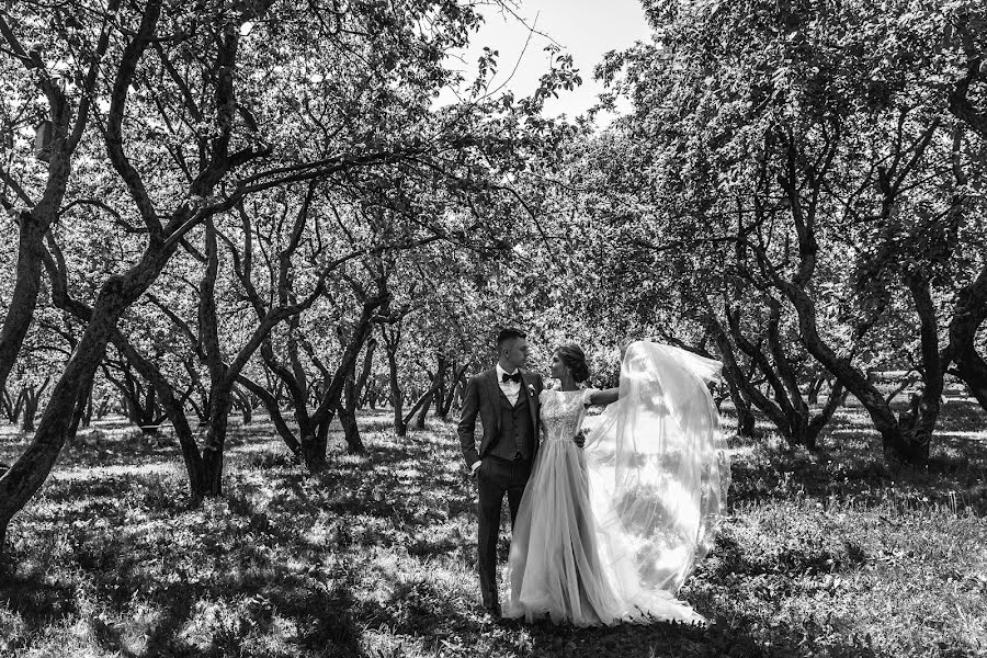 Fotografo di matrimoni Elena Fomina (lenafomina). Foto del 6 luglio 2018