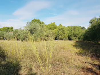 terrain à Clermont-l'herault (34)