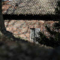 La Casa nel bosco.... di 