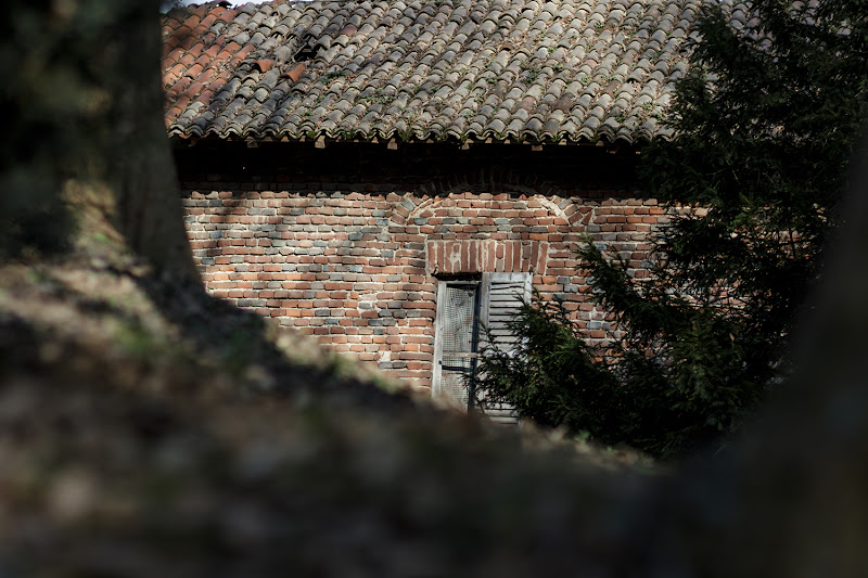 La Casa nel bosco.... di Eagle