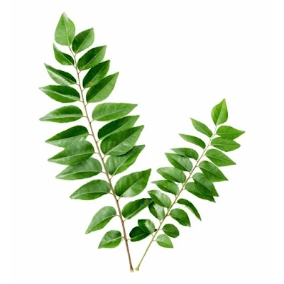 Curry Leaf Gm