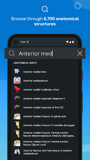 Screenshot e-Anatomy